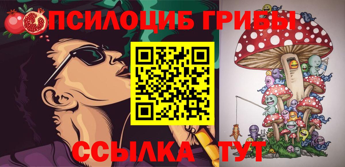 Галлюциногенные грибы Psilocybe Кирово-Чепецк