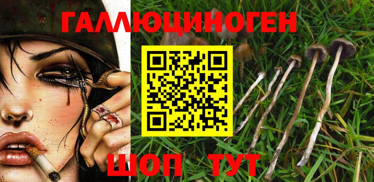 Кирово-Чепецк  Псилоцибиновые грибы MAGIC MUSHROOMS  Вход с VPN 